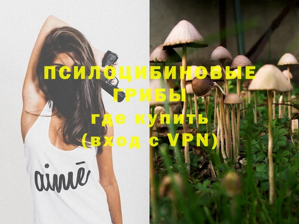 скорость Краснотурьинск