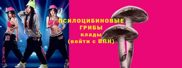 скорость Краснотурьинск