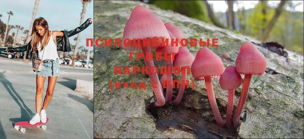 ГАЛЛЮЦИНОГЕННЫЕ ГРИБЫ Красноперекопск