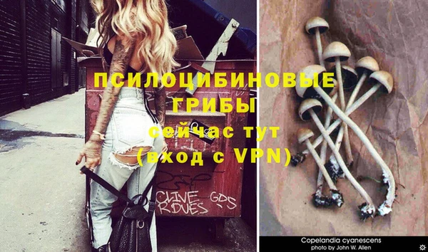 ГАЛЛЮЦИНОГЕННЫЕ ГРИБЫ Красноперекопск