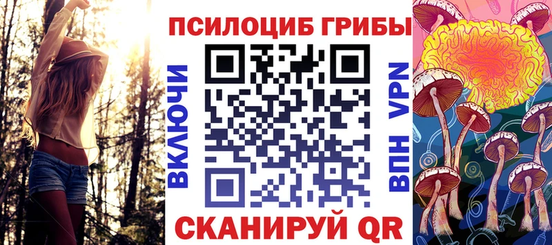 Псилоцибиновые грибы GOLDEN TEACHER  Ачхой-Мартан 